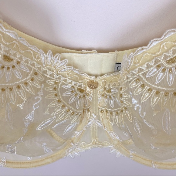 Chantelle "Africa" Seamed Mesh Underwire Bra - Picture 3 of 6